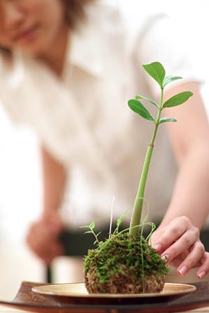 【札幌・北広島エリア対応】タカラスタンダードのショールーム完全ガイド ? 住宅リフォームに安心と信頼を