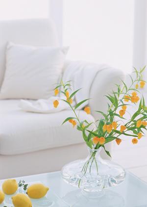 2025年最新版：木工教室の選び方と成功のコツを徹底解説