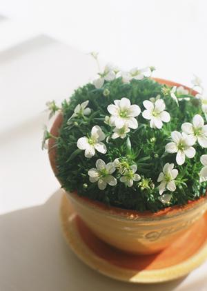 愛知県名古屋駅前にあるタカラスタンダードショールームの魅力と店舗情報